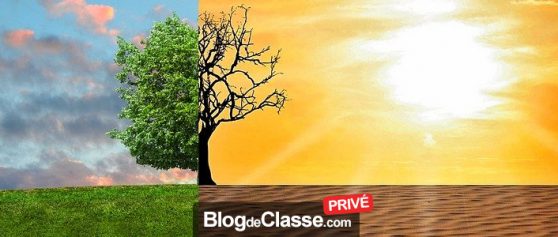 Comment enseigner le changement climatique sans paniquer vos élèves